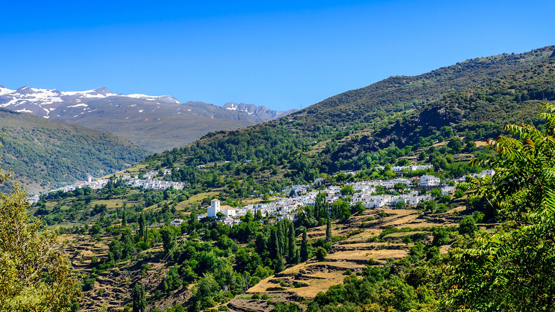 Cuando la cultura sostiene la naturaleza: el papel del patrimonio en un futuro más verde